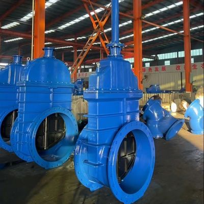 Ferro fundido GGG50 Válvula de porta sentada resistente sem tronco de subida para tamanho de porta personalizado