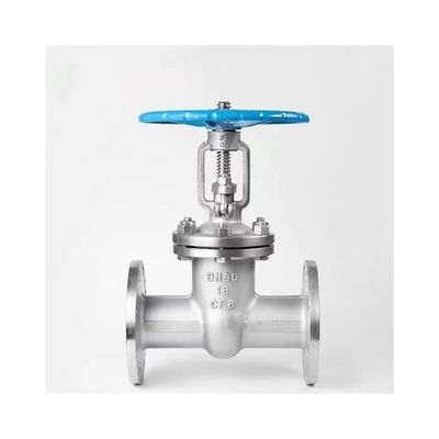 Valva de porta de assento resistente padrão personalizada para porta de faca A216 Wcb Valve