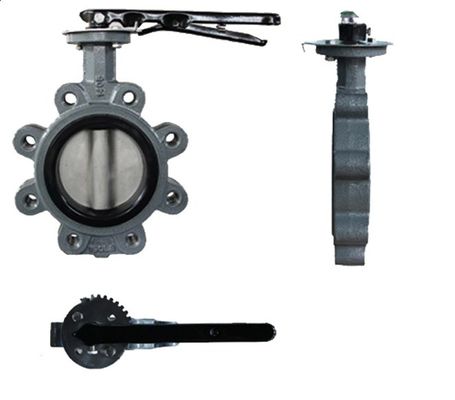 API609 EPDM revestido PTFE de ferro fundido tipo wafer para necessidades personalizadas