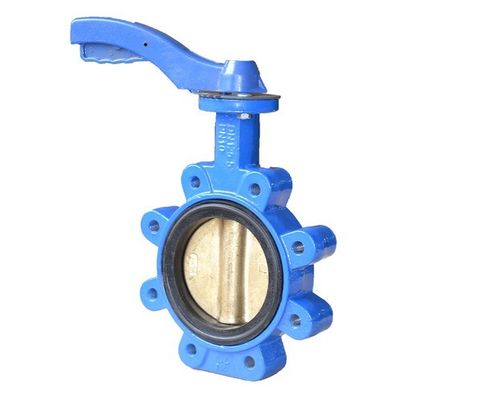 DN65 válvula de borboleta de ferro dúctil com motor elétrico com serviço personalizado
