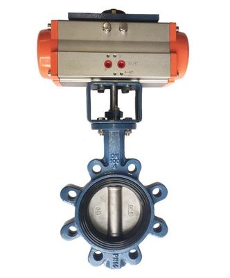 Personalizado JIS 10k/5k PN10/16 Alumínio Bronze Corpo de aço inoxidável EPDM NBR PTFE Seat Lug Tipo borboleta