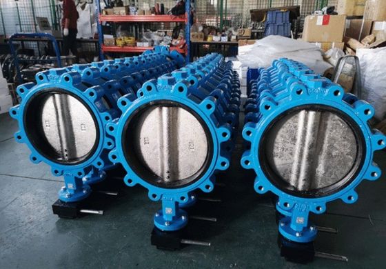 Válvula borboleta de ferro fundido de tipo SS Lt Wafer com anel de vedação de PTFE EPDM personalizado