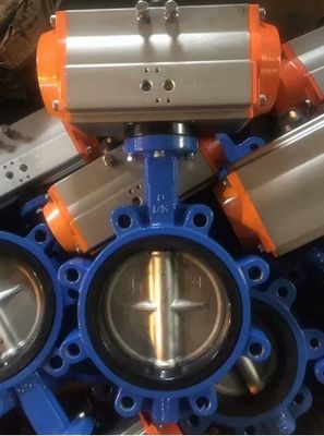 Válvula borboleta de ferro fundido de tipo SS Lt Wafer com anel de vedação de PTFE EPDM personalizado