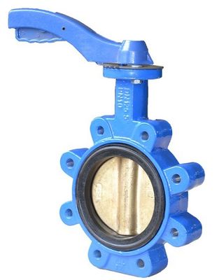 PN16 Máquina de manuseio de ferro fundido de válvula de borboleta para meios de gás e estrutura do diafragma