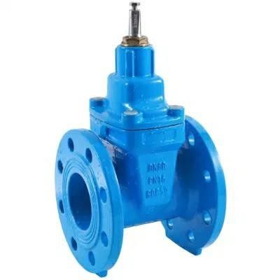 Válvula de porta de aço inoxidável com estrutura de roda manual de ferro fundido DIN F4