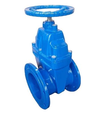 Corpo de ferro fundido de válvula de porta de flange de cunha de borracha para durabilidade e confiabilidade