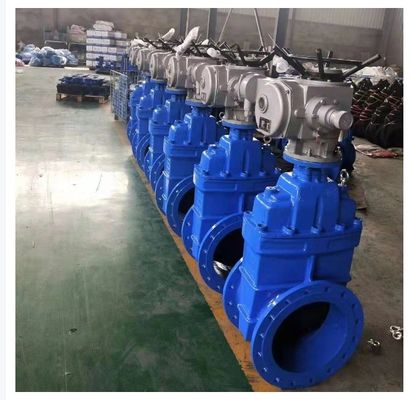Corpo de ferro fundido de válvula de porta de flange de cunha de borracha para durabilidade e confiabilidade