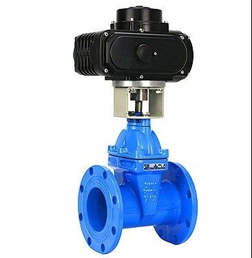 Operação manual 3 polegadas CF8 válvula de porta de flange de aço inoxidável com suporte personalizado