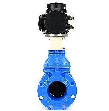Operação manual 3 polegadas CF8 válvula de porta de flange de aço inoxidável com suporte personalizado