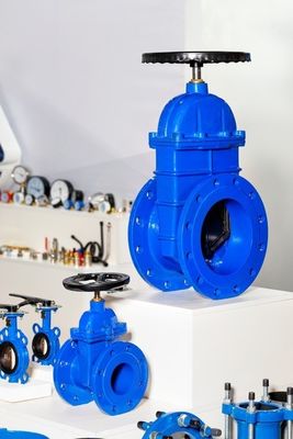 Tipo Y Estrutura ANSI/API/ASTM/ASME/WCB Flange Ball Globe Check Butterfly Gate Valve