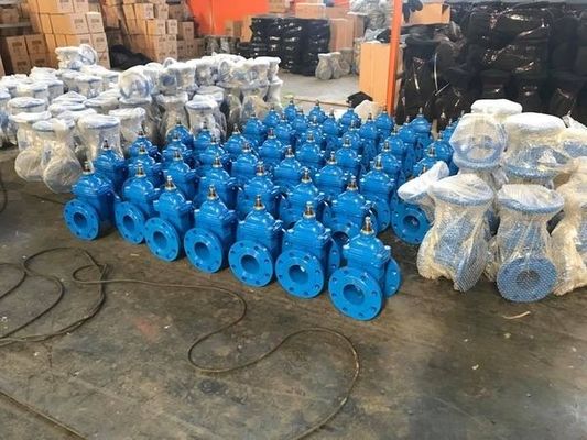 Available OEM Gate Valve BS515 DIN F4 F5 AWWA Rubber Seal Non Rising Stem Ductile Iron