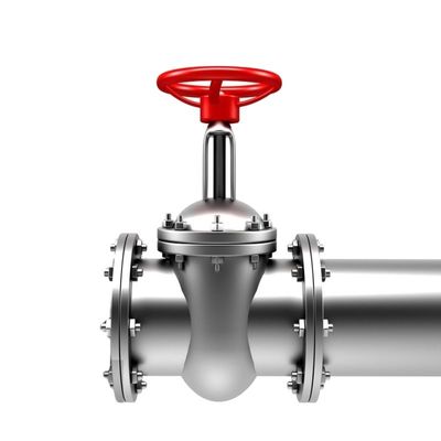 Válvula de verificação de porta de aço inoxidável de flange duplo para ferro fundido Pn16 ferro dúctil