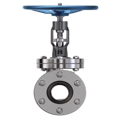 OEM Port Size Serviço personalizado Pn16 Ferro fundido Ductil Ferro Flanged Swing Check Valve