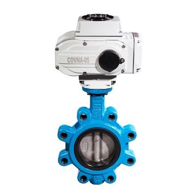 Suporte personalizado ODM Manual de aço inoxidável Worm Gear Lug Borboleta válvula sanitária