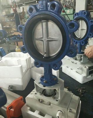 Suporte personalizado ODM Manual de aço inoxidável Worm Gear Lug Borboleta válvula sanitária