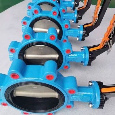 Suporte personalizado ODM Manual de aço inoxidável Worm Gear Lug Borboleta válvula sanitária