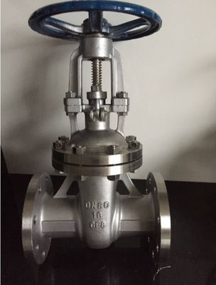 CF8 válvula de saída de extremo de flange de aço inoxidável para filtragem de filtros industriais do tipo Y