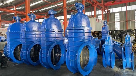 Ferro fundido GGG50 Válvula de porta sentada resistente sem tronco de subida para tamanho de porta personalizado