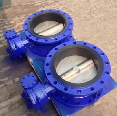 ANSI DIN BS Válvula de borboleta de flange dupla padrão para aplicações personalizadas