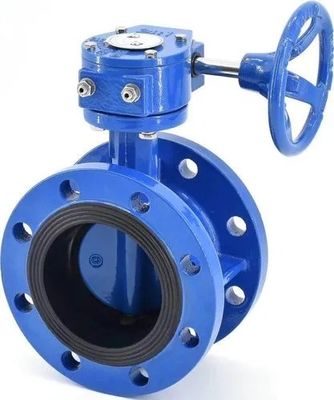 ANSI DIN BS Válvula de borboleta de flange dupla padrão para aplicações personalizadas