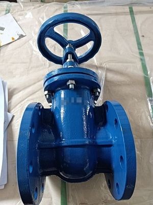 DIN3352 F4 Di GGG40/GGG50 Válvula de fecho de porta de borracha de extremo de flange tamanho de porta personalizado