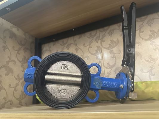 1 polegada de aço inoxidável sanitário válvula de borboleta pneumática com estrutura personalizada