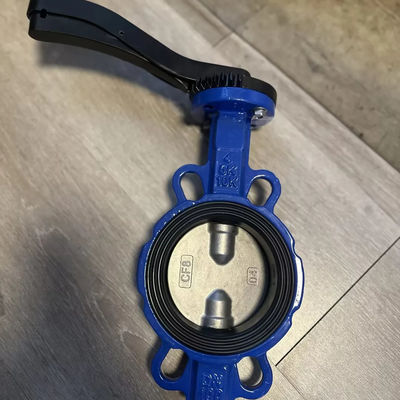 18 Inch Butterfly Valve Wafer Tipo Duplo Check Plate com serviço personalizado e suporte