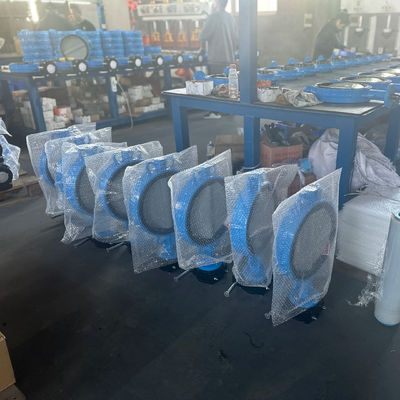 OEM Port Size Ferro fundido extensão válvula borboleta com serviço pós-venda de suporte