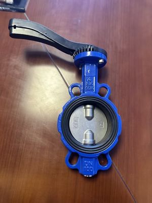 OEM Port Size Ferro fundido extensão válvula borboleta com serviço pós-venda de suporte