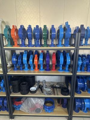 OEM Port Size Ferro fundido extensão válvula borboleta com serviço pós-venda de suporte