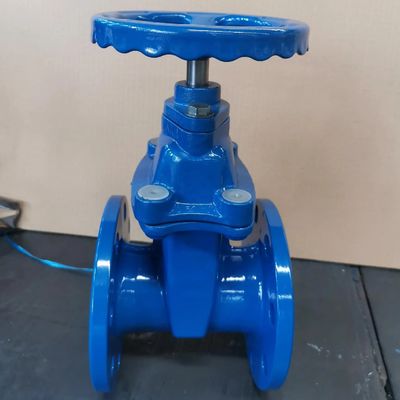 Portão de porte de tamanho personalizado, válvula de porta com flanges, assento resistente para aplicações de mineração
