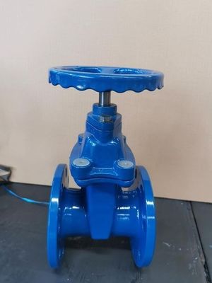 Válvula de porta de aço inoxidável padrão GB DIN ANSI GOST para aplicação industrial