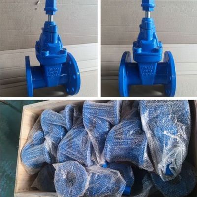 Valva de porta pneumática de 18 polegadas com porte personalizado e resistência à corrosão
