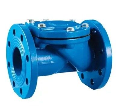 DN100 Pn16 válvula de retenção de flapper de borracha de ferro fundido para suporte OEM