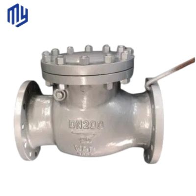 DN200 de aço inoxidável 8 polegadas PN16 duplo tipo de flange sem retorno válvula de verificação de balanço