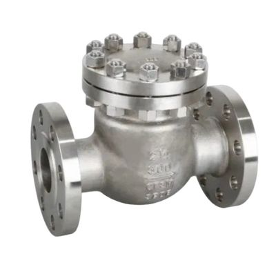 Serviço personalizado Porta de disco único com flange tipo balanço válvula de verificação válvula de drenagem