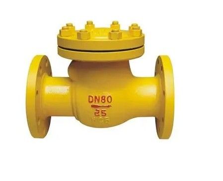 Valva de verificação de balanço de ferro fundido para manipulação de meios de baixa temperatura