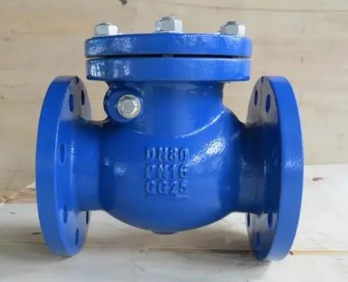 Válvula de verificação de balanço do assento de latão com flanges de ferro dúctil com porte de tamanho personalizado