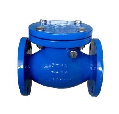 Tipo Y DN200 válvula de verificação de balanço de extremidade de flange PN16 para suporte de personalização de OBM personalizado