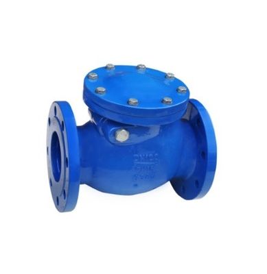 Tipo Y DN200 válvula de verificação de balanço de extremidade de flange PN16 para suporte de personalização de OBM personalizado