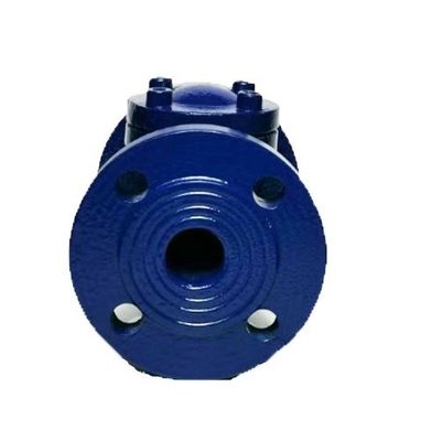 Tamanho de porta personalizado ASME API ANSI Flange Boltado Bonnet 316 de aço inoxidável Swing Check Valve