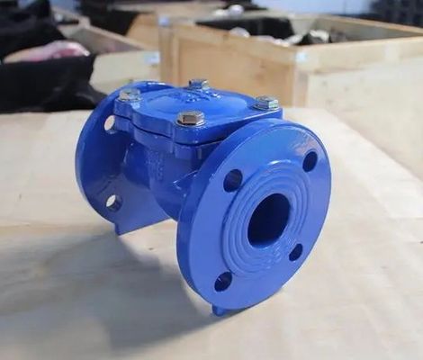 Serviço personalizado 2 polegadas 3 polegadas 4 polegadas de ferro dúctil válvula de verificação de disco de borracha de flange ANSI