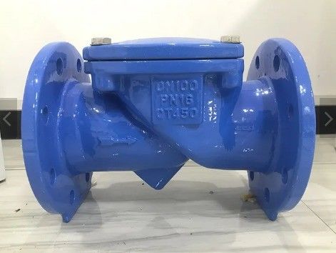 Serviço personalizado 2 polegadas 3 polegadas 4 polegadas de ferro dúctil válvula de verificação de disco de borracha de flange ANSI