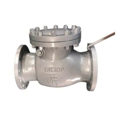 4 polegadas CF8 WCB de aço carbono Flange balanço válvula de verificação certificado completo e manual