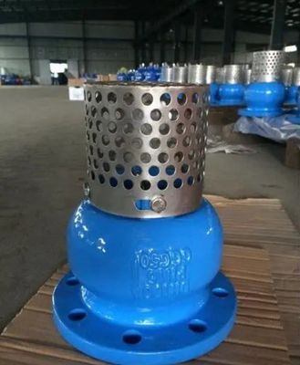 Serviço personalizado de válvula de pé de ferro fundido WCB para controle duradouro e fluido