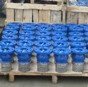 Serviço personalizado de válvula de pé de ferro fundido WCB para controle duradouro e fluido