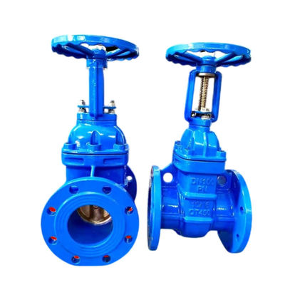 Indústria BS5163/ EN 1171 PN25 Válvula de porta de ferro flexível e flexível com pé ascendente