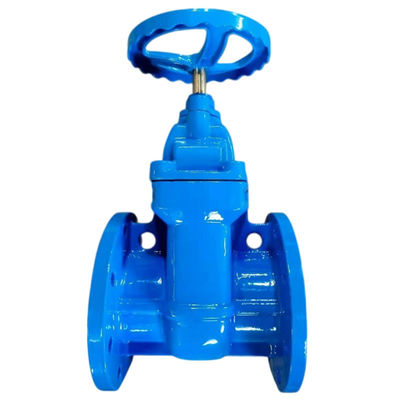 Indústria BS5163/ EN 1171 PN25 Válvula de porta de ferro flexível e flexível com pé ascendente